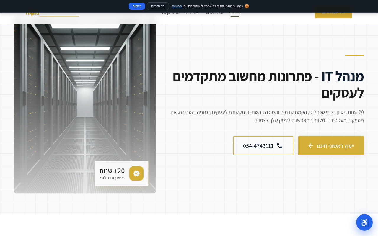 מנהל IT